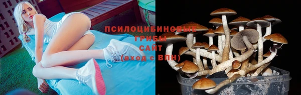 jwh Белокуриха